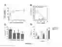 Fig. 04 - Methods and compositions for treating and identifying compounds to treat age-related macular degeneration treatment