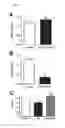 Fig. 07 - Methods and compositions for treating and identifying compounds to treat age-related macular degeneration treatment