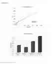 Fig. 06 - Mixture of fatty acids for use in the treatment of inflammatory pathologies