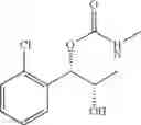 Fig. 196 - Phenyl carbamate compound and a composition for preventing or treating a nerve gas-induced disease comprising the same