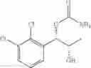 Fig. 216 - Phenyl carbamate compound and a composition for preventing or treating a nerve gas-induced disease comprising the same