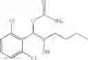 Fig. 240 - Phenyl carbamate compound and a composition for preventing or treating a nerve gas-induced disease comprising the same