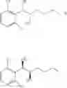 Fig. 60 - Phenyl carbamate compound and a composition for preventing or treating a nerve gas-induced disease comprising the same