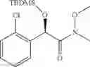 Fig. 63 - Phenyl carbamate compound and a composition for preventing or treating a nerve gas-induced disease comprising the same