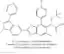 Fig. 335 - THERAPEUTIC COMPOUNDS