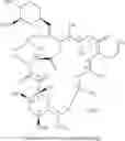 Fig. 02 - Regimen for supressing organ rejection