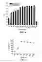Fig. 08 - Microbicidal composition comprising an octoxynol and a quinolizidine alkaloid compound or a source thereof