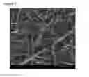 Fig. 06 - NANO- MICRODELIVERY SYSTEMS FOR OROMUCOSAL DELIVERY OF AN ACTIVE INGREDIENT