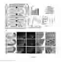 Fig. 04 - Method of promoting remyelination