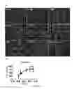 Fig. 09 - Method of promoting remyelination