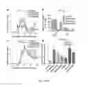 Fig. 19 - Method of promoting remyelination