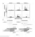 Fig. 25 - Method of promoting remyelination