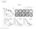 Fig. 07 - Compositions and methods for treating cancer and diseases and conditions responsive to cell growth inhibition