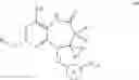 Fig. 05 - Modulators of toll-like receptors