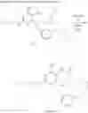 Fig. 232 - Modulators of toll-like receptors
