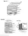 Fig. 05 - METHODS OF CONTROLLING TUMOR BIOENERGETICS NETWORKS