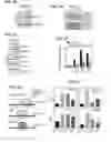 Fig. 10 - METHODS OF CONTROLLING TUMOR BIOENERGETICS NETWORKS