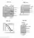 Fig. 15 - METHODS OF CONTROLLING TUMOR BIOENERGETICS NETWORKS
