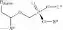 Fig. 13 - Acyclic nucleoside phosphonate diesters