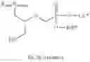 Fig. 40 - Acyclic nucleoside phosphonate diesters