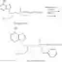 Fig. 62 - Acyclic nucleoside phosphonate diesters