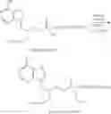 Fig. 72 - Acyclic nucleoside phosphonate diesters