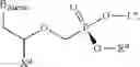 Fig. 79 - Acyclic nucleoside phosphonate diesters