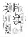 Fig. 02 - Compositions and methods for inducing apoptosis