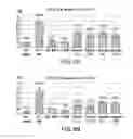 Fig. 09 - Compositions and methods for inducing apoptosis