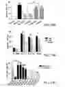 Fig. 20 - Compositions and methods for inducing apoptosis