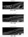 Fig. 22 - Compositions and methods for inducing apoptosis