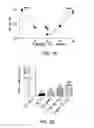 Fig. 30 - Compositions and methods for inducing apoptosis