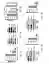 Fig. 04 - Methods and compositions for modulating Tau levels