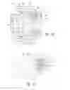 Fig. 10 - Compositions and methods for treating insulin resistance and diabetes mellitus