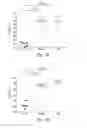 Fig. 62 - Compositions and methods for treating insulin resistance and diabetes mellitus