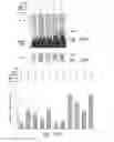 Fig. 95 - Compositions and methods for treating insulin resistance and diabetes mellitus