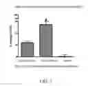 Fig. 08 - CHROMIUM-CONTAINING COMPOSITIONS FOR IMPROVING ENDOTHELIAL FUNCTION AND CARDIOVASCULAR HEALTH