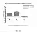 Fig. 13 - CHROMIUM-CONTAINING COMPOSITIONS FOR IMPROVING ENDOTHELIAL FUNCTION AND CARDIOVASCULAR HEALTH