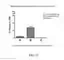 Fig. 14 - CHROMIUM-CONTAINING COMPOSITIONS FOR IMPROVING ENDOTHELIAL FUNCTION AND CARDIOVASCULAR HEALTH