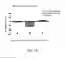 Fig. 19 - CHROMIUM-CONTAINING COMPOSITIONS FOR IMPROVING ENDOTHELIAL FUNCTION AND CARDIOVASCULAR HEALTH
