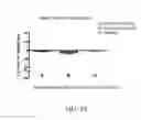 Fig. 20 - CHROMIUM-CONTAINING COMPOSITIONS FOR IMPROVING ENDOTHELIAL FUNCTION AND CARDIOVASCULAR HEALTH