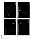 Fig. 02 - Use of nano metal in promoting neurite outgrowth and treatment and/or prevention of neurological disorders