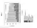 Fig. 05 - Microbial compositions comprising rumen microflora and uses thereof