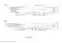 Fig. 11 - Probiotics for treating neuropathic bladder associated urinary tract infection