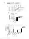 Fig. 03 - NEWCASTLE DISEASE VIRUSES AND USES THEREOF