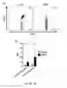 Fig. 04 - NEWCASTLE DISEASE VIRUSES AND USES THEREOF