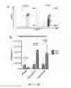 Fig. 05 - NEWCASTLE DISEASE VIRUSES AND USES THEREOF