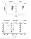 Fig. 07 - NEWCASTLE DISEASE VIRUSES AND USES THEREOF