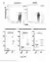 Fig. 08 - NEWCASTLE DISEASE VIRUSES AND USES THEREOF