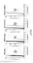 Fig. 15 - NEWCASTLE DISEASE VIRUSES AND USES THEREOF
